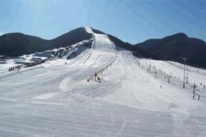 北京平谷梨源滑雪場 北京平谷梨源滑雪場