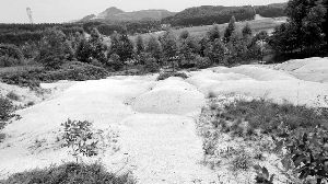 年被圈走的土地，目前很多仍被荒廢