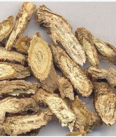 中藥材防風 中藥材防風