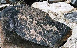 曼德拉蘇木 曼德拉蘇木