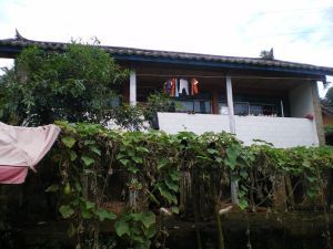 大平灘村 大平灘村