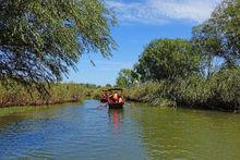 鹽城蘆盪迷宮高清組圖