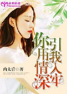 你用情深，引我入牢[朵米閱讀網小說]
