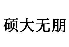 碩大無朋 碩大無朋