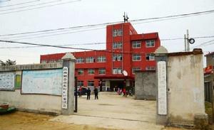 岙山東村 岙山東村