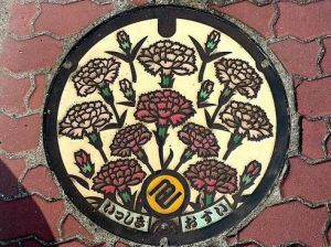 井蓋冬粉團 井蓋冬粉團