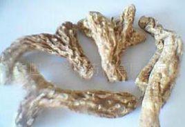 承氣養營湯 承氣養營湯