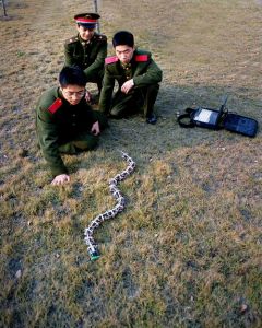 國防科技大學研製的機器蛇
