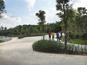 羅山郊野公園 羅山郊野公園