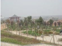 白水縣倉頡文化公園