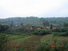 大哨村[雲南省昆明市安寧市祿脿鎮大哨村]