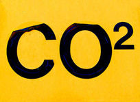 血漿二氧化碳總量 血漿二氧化碳總量