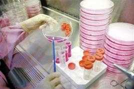 細胞復甦 細胞復甦