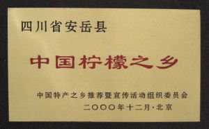 中國檸檬之鄉 中國檸檬之鄉