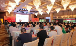 中國芒果產業聯盟 中國芒果產業聯盟