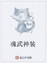 魂武神裝 魂武神裝