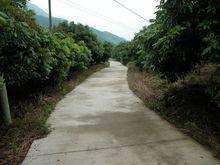 管頭村[山西省城市沁水縣胡底鄉下轄村]