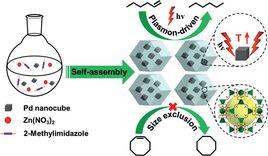 催化氧化 催化氧化