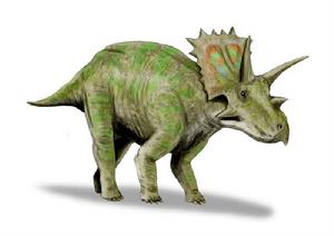 宣化角龍 宣化角龍