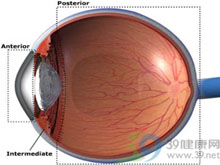 急性虹膜睫狀體炎