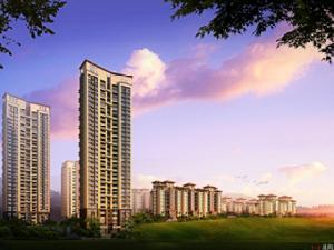 金福花園 金福花園