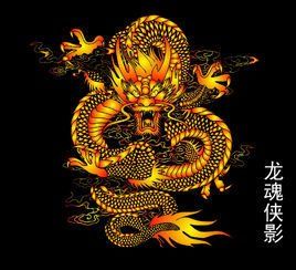 龍魂俠影 龍魂俠影