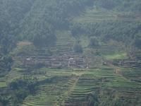 塔底本村 塔底本村