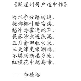 貶崖州司戶道中作 貶崖州司戶道中作