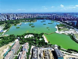 銀川之肺 銀川之肺