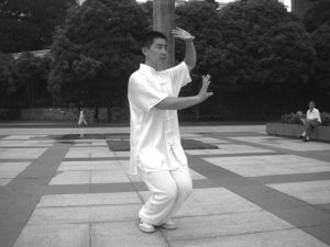 楊氏太極拳小架 楊氏太極拳小架