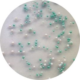 固體培養基 固體培養基