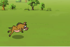 野豬快跑 野豬快跑