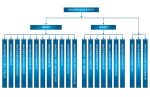 重慶國泰公司組織架構