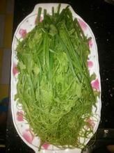 腐乳龍鬚菜 腐乳龍鬚菜