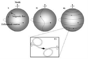 這張圖顯示太陽的磁通量在一個太陽周期中的變化。