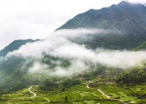 大空樹自然村 大空樹自然村
