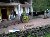 老大凹子村 老大凹子村