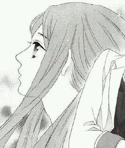 白石冬花 白石冬花