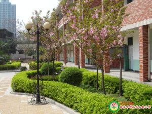 陝西省西安市碑林區永新國小 陝西省西安市碑林區永新國小