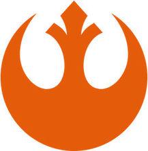 抵抗力量的星鳥