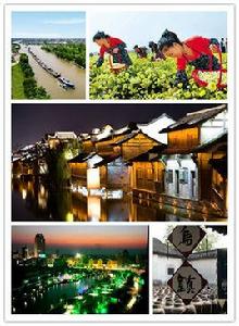 桐鄉[浙江省嘉興市下轄縣級市]