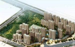 天中國際 天中國際