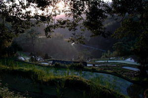 李建英攝影作品