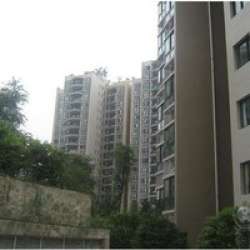 天合家園 天合家園