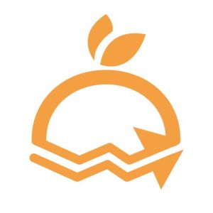 小桔微盤 小桔微盤