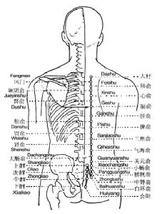 （圖）膈俞穴