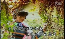 橄欖樹[卓依婷演唱歌曲]