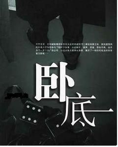 臥底[詞語釋義]