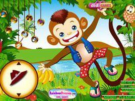 搞笑的猴子 搞笑的猴子