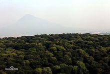 漳州圓山新城“荔枝海”